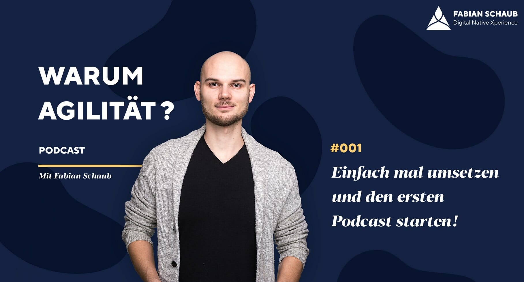 Social Leadership Podcast mit Fabian Schaub 01